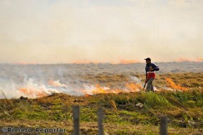 Burning off old fields in Camargue