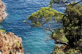 Esterel coastline, French Riviera