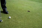 Golf Tips from Thomas Vander Clock - Putting short