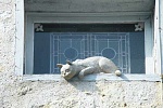 La Romieu Cat